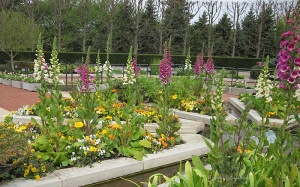 Flower gardens at the Chicago botanic gardens 1 - Copy