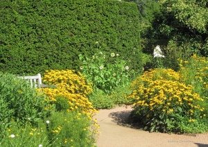 Flower gardens at the Chicago botanic gardens english walled garden - Copy