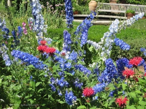 Flower gardens at the Chicago botanic gardens english walled garden red and blue flowers - Copy
