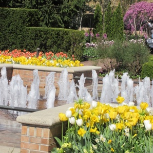 Flower gardens at the Chicago botanic gardens fountain - Copy